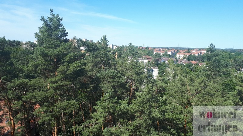Ausblick